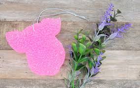 Pig Head Car Freshies